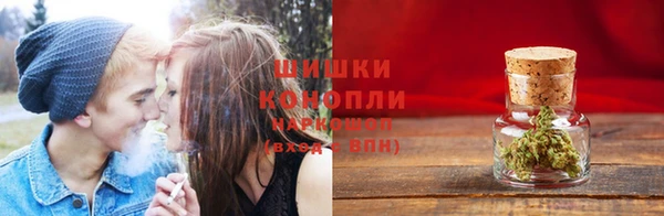 кристаллы Гусь-Хрустальный