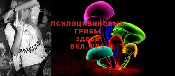 СК Гусев