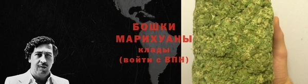 кристаллы Гусь-Хрустальный