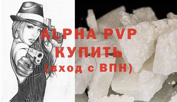 СК Гусев