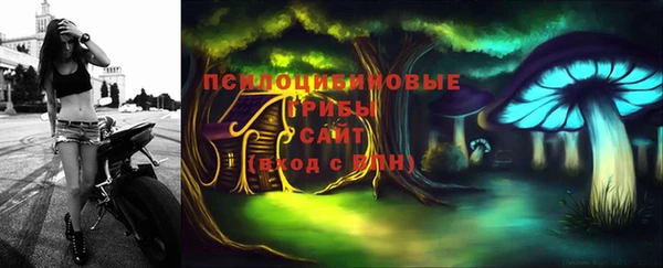 ешки Гусиноозёрск