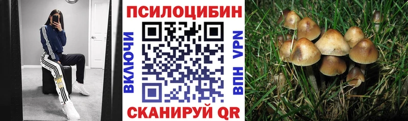 Купить  Трёхгорный  Галлюциногенные грибы GOLDEN TEACHER 