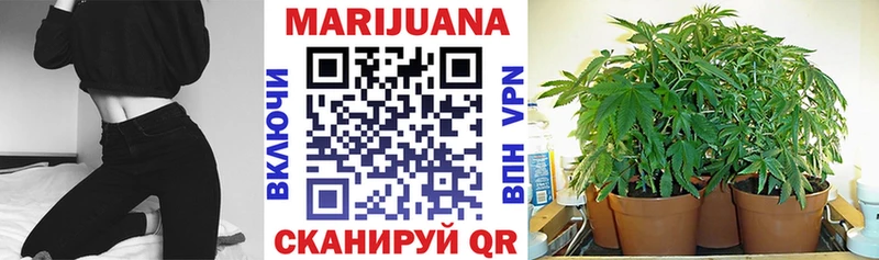 Купить где  Трёхгорный  Шишки марихуана SATIVA & INDICA 